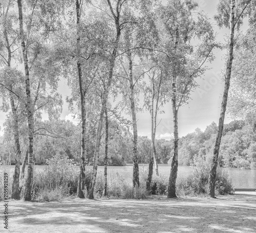 Lovely July summers day at Shackerley Mere , Cheshire, UK
