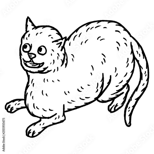 Принти на полотні Weird medieval cat vintage engraving style illustration