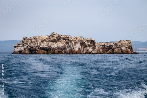 Wide view of great cormorant colony island on Lake Baikal seen while sailing away, Siberia, Russia