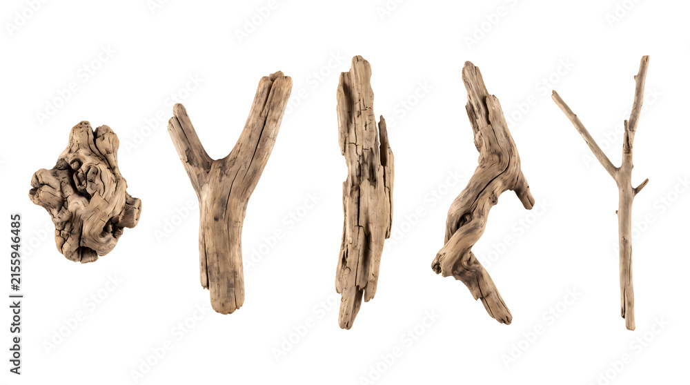 Fototapeta premium Natural Driftwood Pieces Isolated on Transparent Background