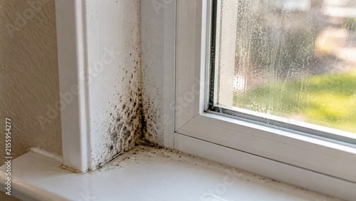 Close-up of residential window frame with small localized mildew spots developing near lower corner from condensation