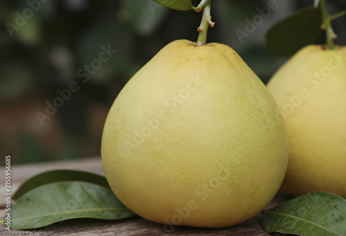 Fresh pomelo fruit with gre...