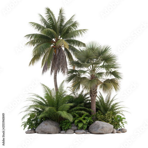 Lush Tropical Palm Tree Cluster With Ferns And Stones Isolated On A Clean White Background For Botanical Landscape Design Projects