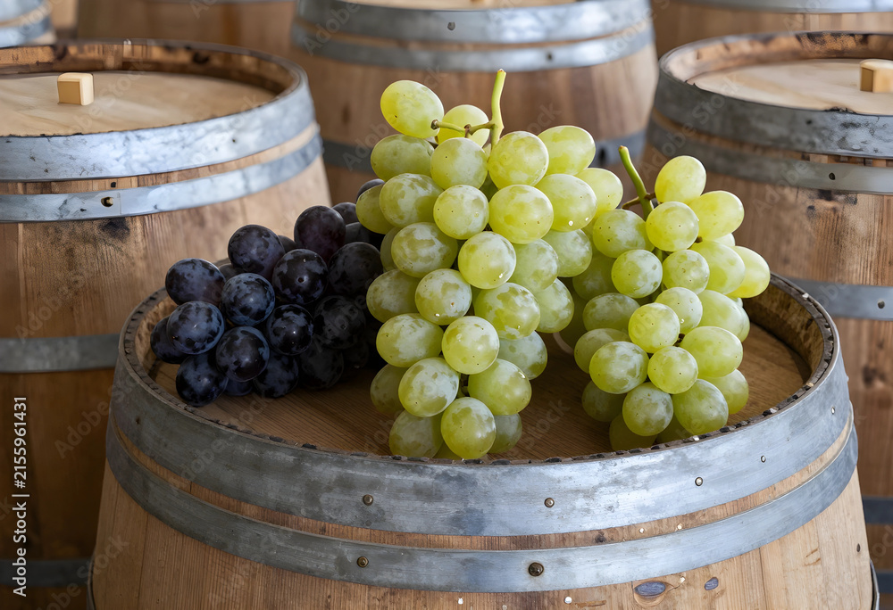 Naklejka premium Fresh green and red grapes on a wooden wine barrel, winemaking and harvest concept, vineyard and winery production