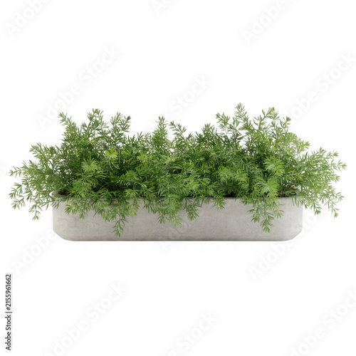 Small Artificial Green Fern Plant Potted in a Minimalist Rectangular Concrete Planter for Modern Home Interior Decor and Tabletop Ornament