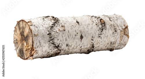 Birch log with distinctive white bark and visible wood grain on the cut end