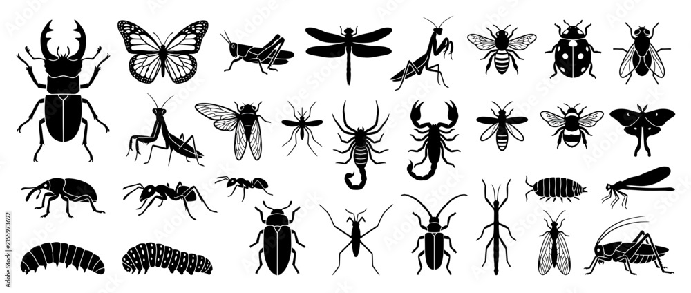 Fototapeta premium Collection of Black Insect Silhouettes on Transparent Background