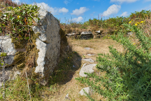 Fotografie A stony path leads between a large, moss-covered rock and green bushes under a bright blue sky