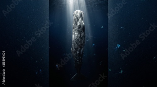 Plakat Sperm whale sleeping vertically in dark ocean with sun rays from surface