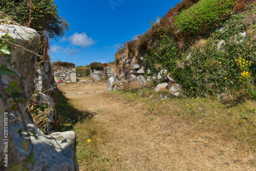 Obraz na plátně A dry, grassy path winds between ancient stone ruins covered in green foliage un