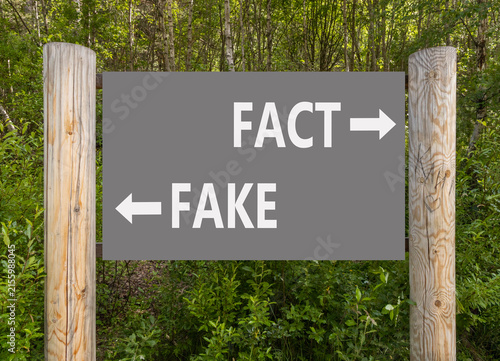 фотографія Fact or fake words symbol