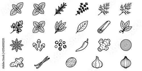 Collection of hand drawn culinary herbs and spices icons for cooking and healthy food menu design