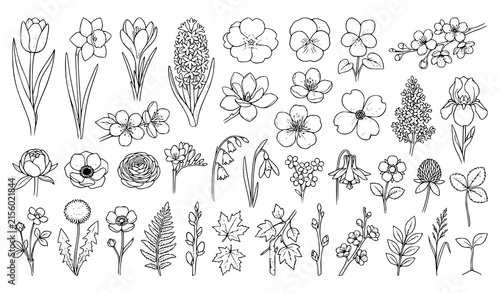 Spring flowers, garden blooms, botanical blossoms, and tree branches line art vector icons set isolated on white background