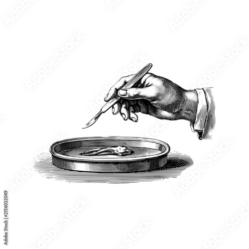 Hand using a scalpel to dissect a biological specimen in a petri dish engraving