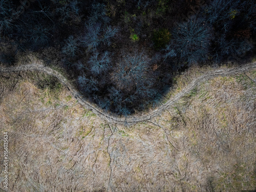 Overhead top-down aerial drone view of a curved dirt trail cleanly dividing a dry light brown field from a dark, dense winter forest. Conceptual abstract landscape boundary photography.