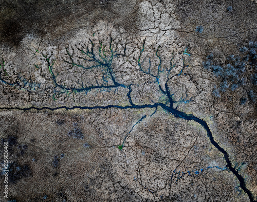 Foto Overhead top-down satellite view of an intricate dendritic river delta network branching across a dry cracked earth terrain