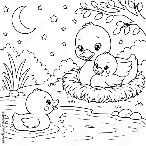 Fotografie Duck Family in Nest at Night - Coloring Page