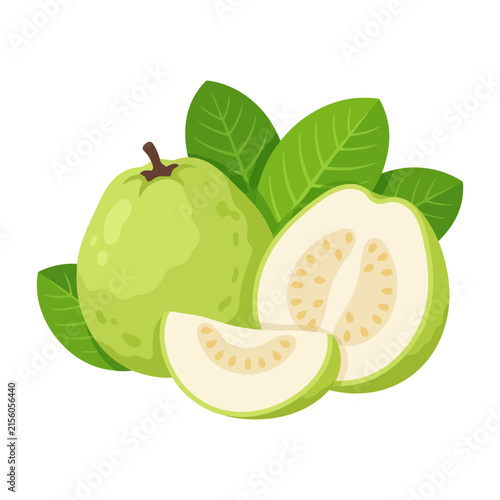 Fresh guava fruit vector illustration whole cut half slice with green leaves