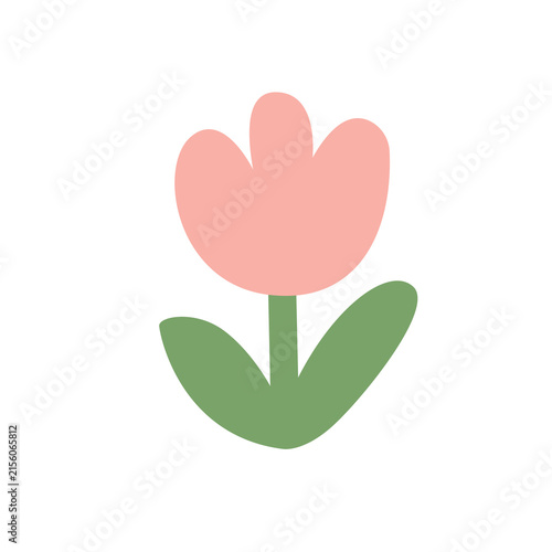 Minimalist pink tulip flower with green leaves botanical illustration transparent aesthetic ornament decoration springtime blooming vegetation as clean cutout