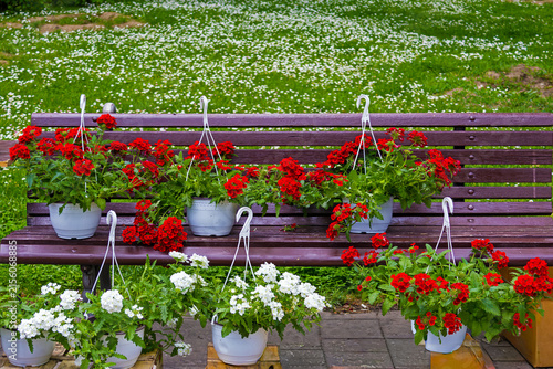 Fresh flowers in bloom inside hanging plastic flower pots on wood bench in city