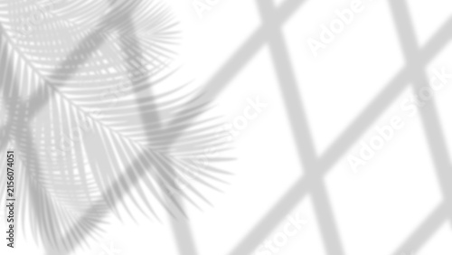 Black Flowing Shadow Overlay Transparent Background