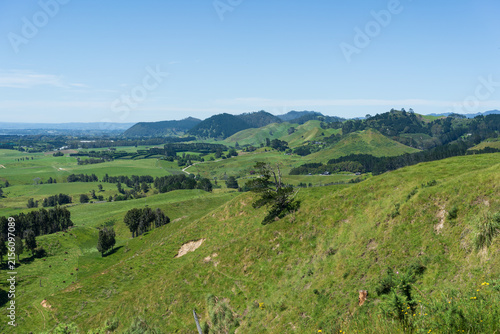 Rolling Green Hills Near Waihī Beach