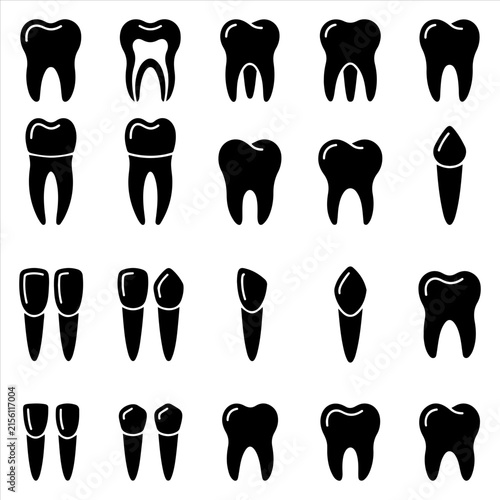 Quadro su tela Set of dental tooth icons depicting various teeth types and anatomy for dentistr