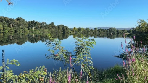 Wide panoramic view of calm river reflecting trees and sky