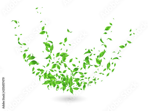 Green leaves flying in air transparent background effect on transparent background
