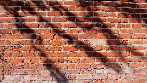 Obraz na plátne Red brick wall texture, tree shadow overlay background, old terracotta brickwork