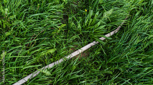 Foto the white hose is lying on the lawn