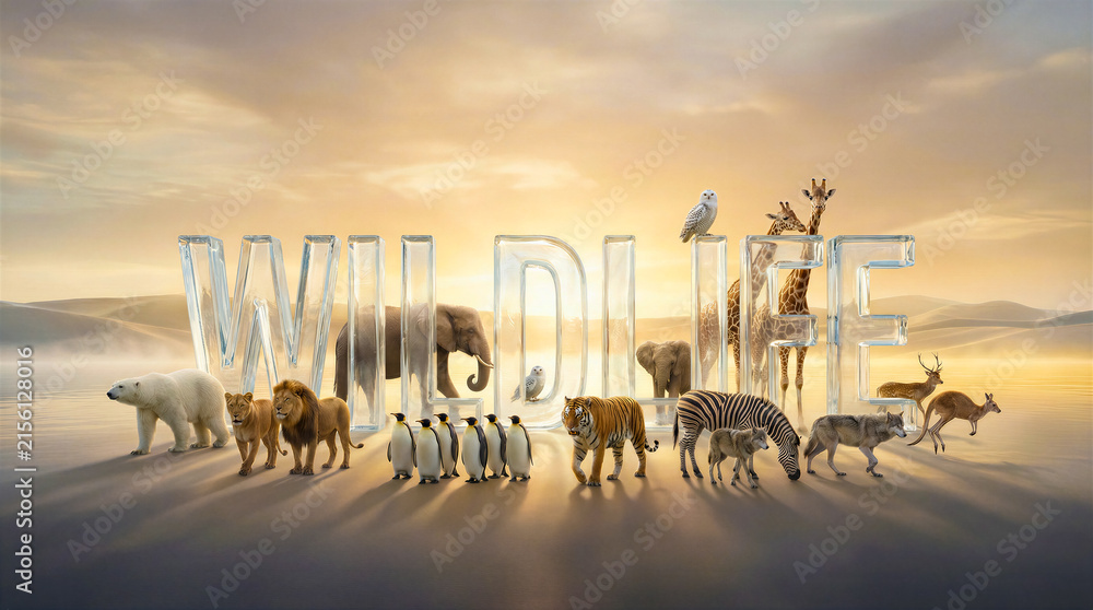 Naklejka premium Wildlife animals standing around large glass letters spelling wildlife. Conservation, nature documentary, zoo, safari.