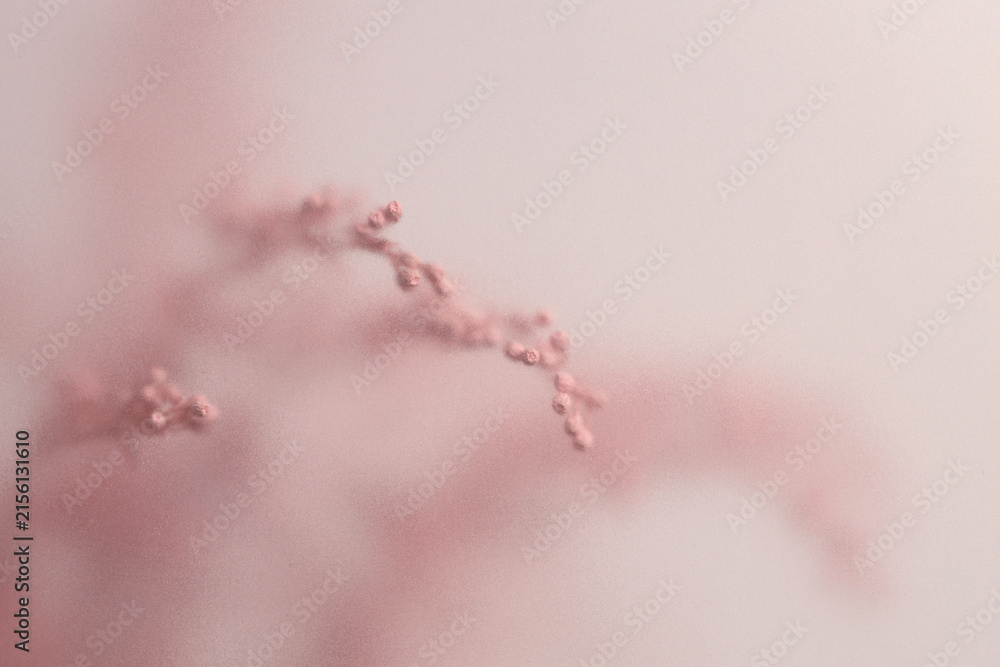 Fototapeta premium Smoke selected soft focus beige pink Dry Flower through translucent matte frosted glass. Abstract natural blurred grain light fog background.