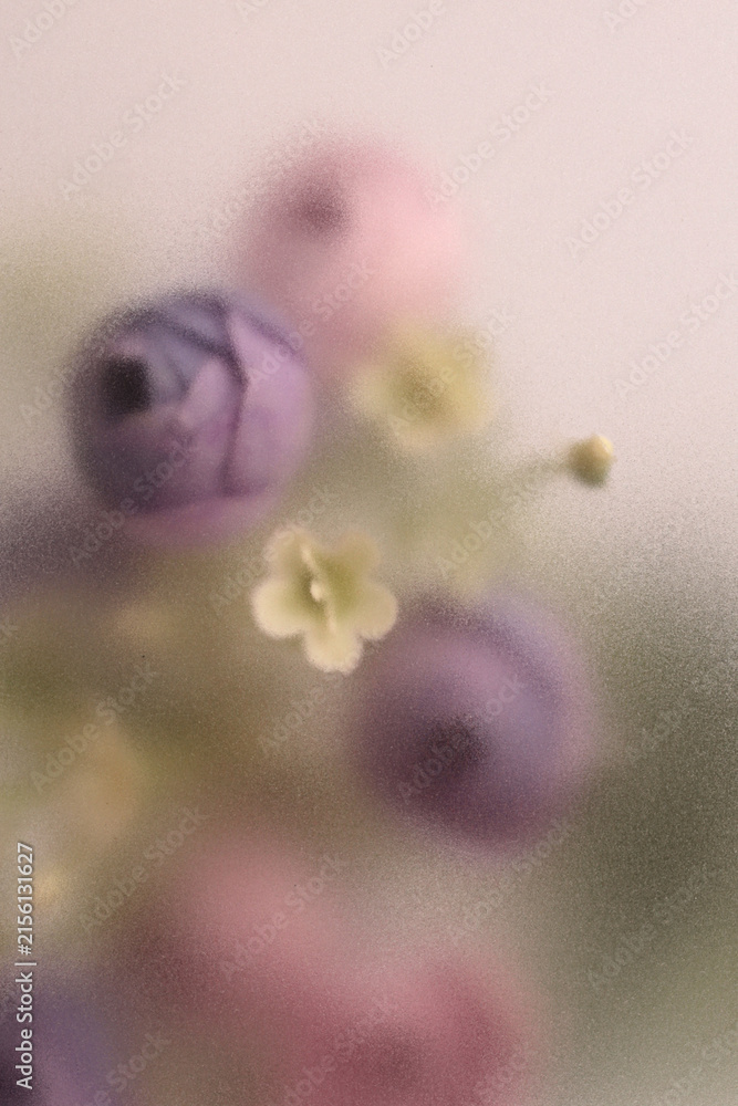 Fototapeta premium Smoke selected soft focus cream beige pink Rose Flower bouquet through translucent matte frosted glass. Abstract natural blurred grain light fog background.