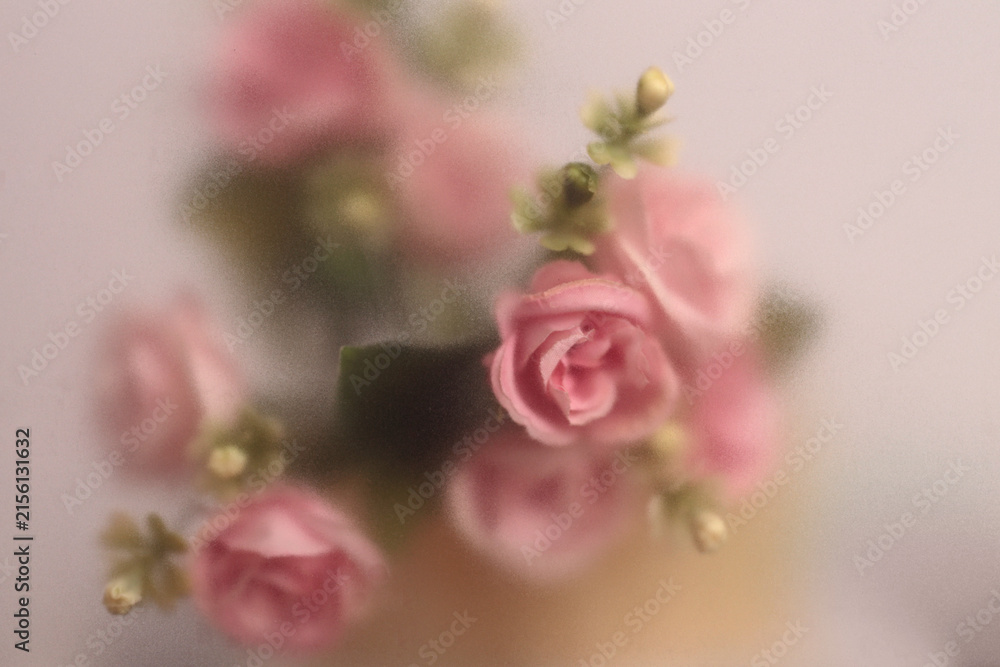 Fototapeta premium Smoke selected soft focus cream beige pink Rose Flower through translucent matte frosted glass. Abstract natural blurred grain light fog background.