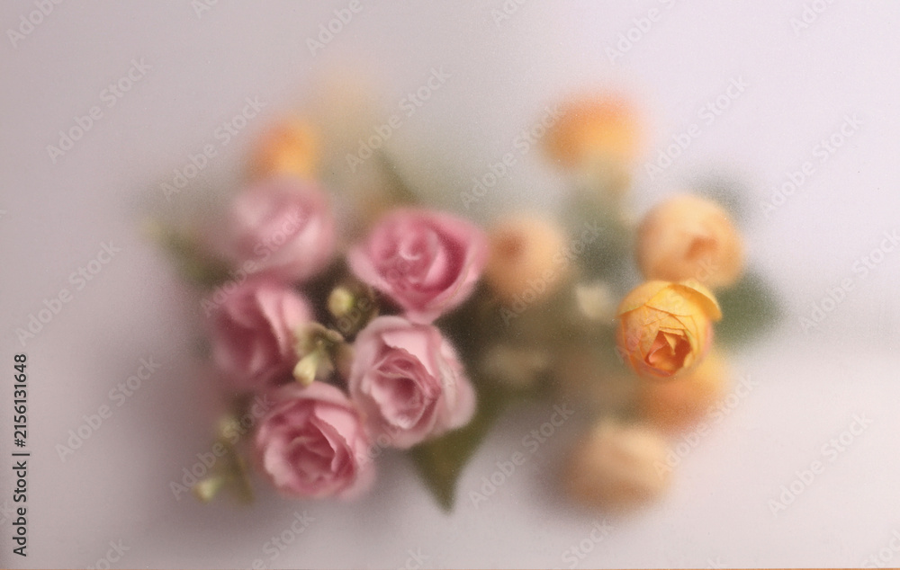 Fototapeta premium Smoke selected soft focus cream beige pink Rose Flower bouquet through translucent matte frosted glass. Abstract natural blurred grain light fog background.