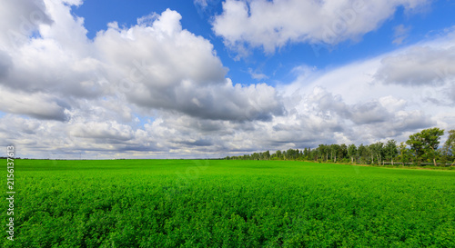 Cuadro en lienzo Breathtaking rural scene with lush grassy plains