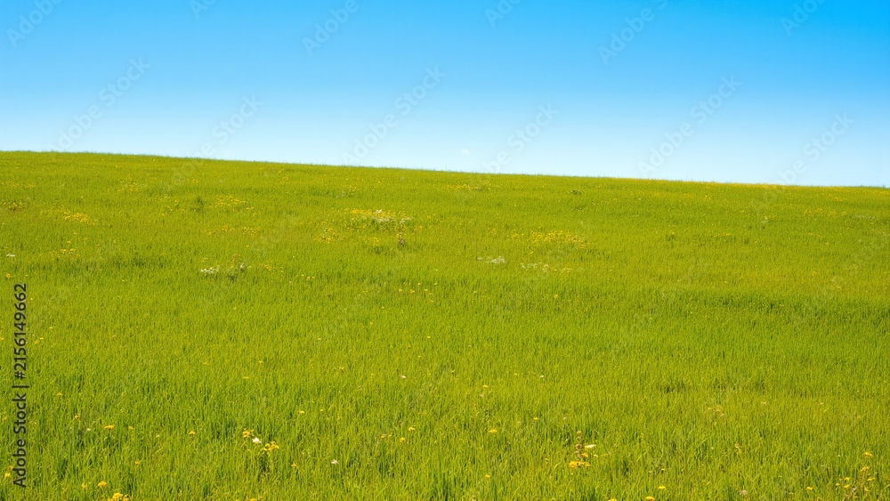 Fototapeta premium Vast Rolling Green Hill Under Clear Blue Sky
