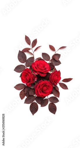 A deep crimson botanical print featuring elegant dark red roses and burgundy leaves entwined in a dense, seamless floral arrangement design, repeating, background, red