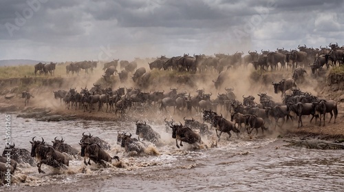 Wildebeests cross a river during their annual migration in Africa.