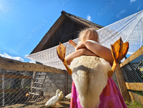 Young child holding a white domestic duck in a farm enclosure, showing a close bond and the essence of rural life under a clear blue sky