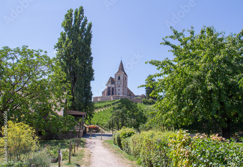 Saint-Jacques-le-Majeur Church in Hunawihr, Alsace, France, in Summer