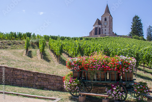 Saint-Jacques-le-Majeur Church in Hunawihr surrounded by vineyards and colorful flowers in summer, Alsace, France