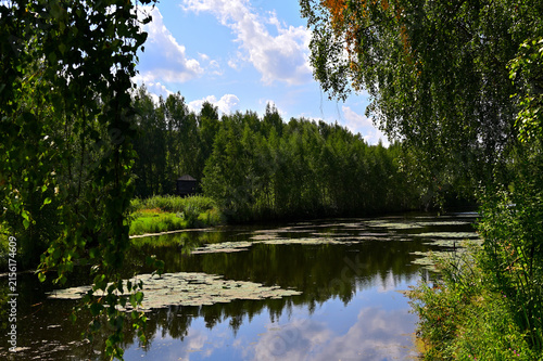 A small picturesque river surrounded by forest.