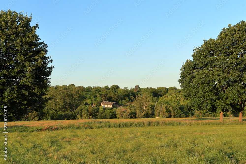 Fototapeta premium A house in a field