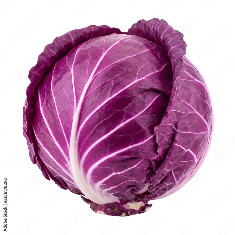 Obraz premium Whole red cabbage head isolated PNG cutout for produce
