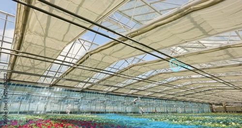 Smart Greenhouse with AI Robots and Drones for Automated Plant Production. Autonomous Robots and Drones Working in Modern Smart Greenhouse.