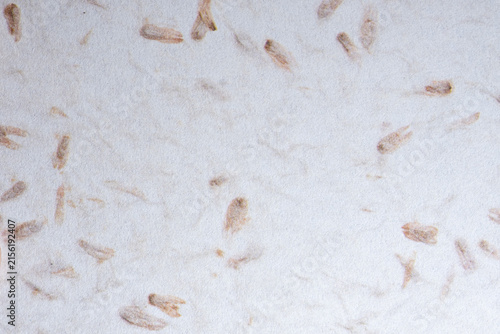 White Handmade Paper with Brown Plant Fibers
