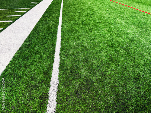 Bild auf Leinwand Low angle shot showing a clean white boundary line and red accent stripe receding across lush, newly installed synthetic athletic turf inside a stadium