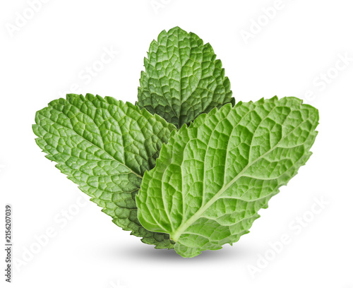 Quadro su tela Green mint leaves on white background. Aromatic herb